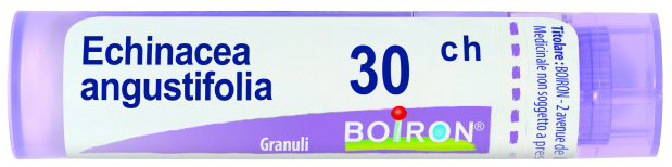 ECHINACEA ANGUSTIFOLIA 30 CH GRANULI - farmacialombardia.it