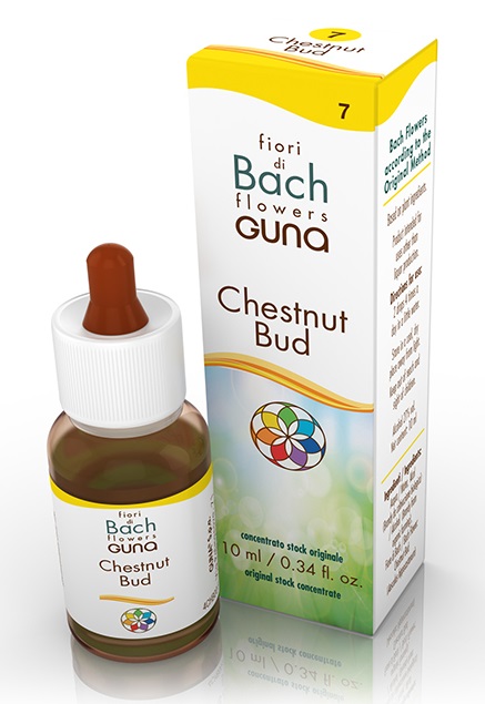 CHESTNUT BUD GOCCE 10 ML - farmacialombardia.it