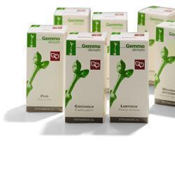 RIBES NERO MACERATO GLICERICO 200 ML - farmacialombardia.it