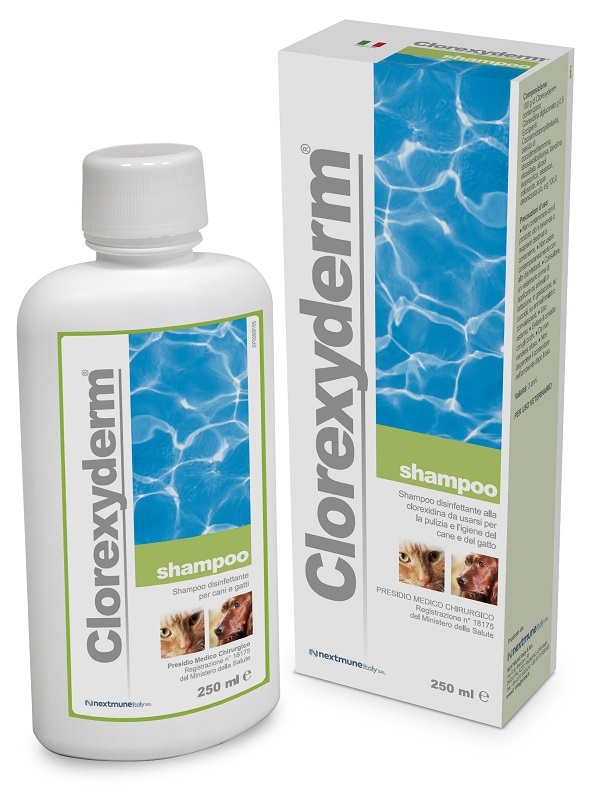 CLOREXYDERM SHAMPOO 250 ML - farmacialombardia.it