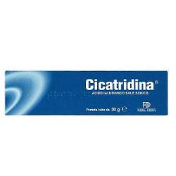 CICATRIDINA POMATA 30 G - farmacialombardia.it