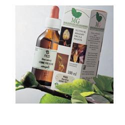 RIBES MACERATO GLICERICO 100 ML - farmacialombardia.it