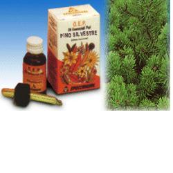 PINO SILVESTRE OLIO ESSENZIALE PURO 10 ML - farmacialombardia.it