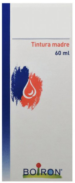 TARAXACUM TINTURA MADRE 60 ML - farmacialombardia.it