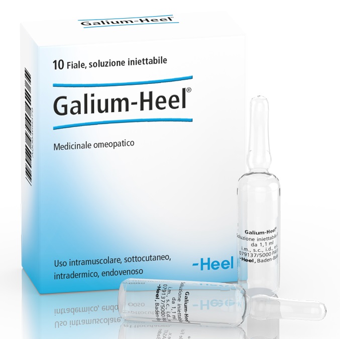 HEEL GALIUM 10 FIALE DA 1,1 ML L'UNA - farmacialombardia.it