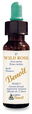 FIORI DI BACH BENOIT WILD ROSE 10 ML - farmacialombardia.it