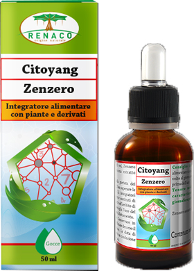 CITOYANG ZENZERO GOCCE FLACONCINO 50 ML - farmacialombardia.it