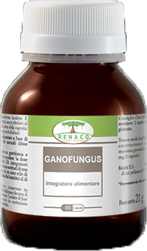 GANOFUNGUS 60 CAPSULE FLACONE 24 G - farmacialombardia.it