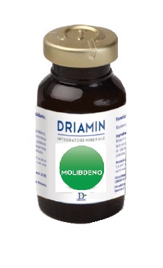 DRIAMIN MOLIBDENO 15 ML - farmacialombardia.it
