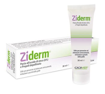 ZIDERM CREMA 30 ML - farmacialombardia.it