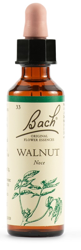 WALNUT BACH ORIG 20 ML - farmacialombardia.it