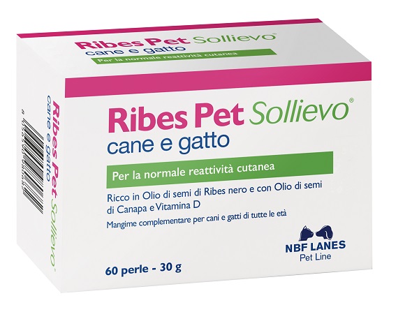 RIBES PET SOLLIEVO BLISTER 60 PERLE - farmacialombardia.it