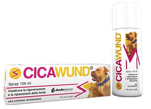 CICAWUND SPRAY 125 ML - farmacialombardia.it