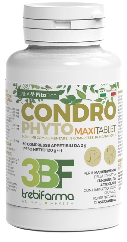 CONDROPHYTO 60 COMPRESSE 2 G - farmacialombardia.it