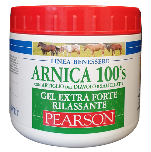 ARNICA 100'S EXTRA FORTE RILASSANTE 500 ML - farmacialombardia.it