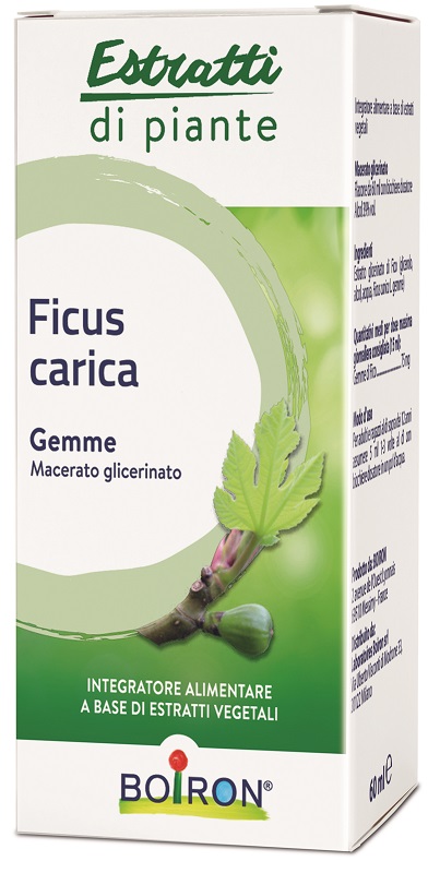FICUS CARICA BOIRON MACERATO GLICERICO 60 ML - farmacialombardia.it