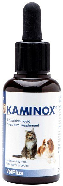 KAMINOX SCIROPPO 60 ML - farmacialombardia.it
